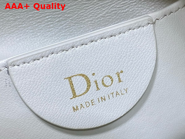 Dior Mini Toujours Hobo Bag in Pale Green Cannage Lambskin Replica