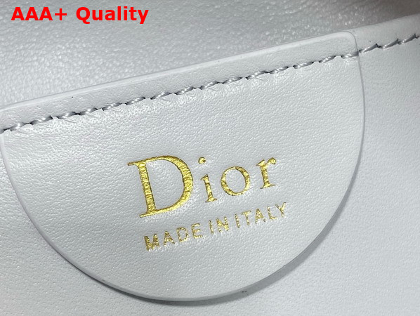 Dior Mini Toujours Hobo Bag in Shirt Blue Cannage Lambskin Replica