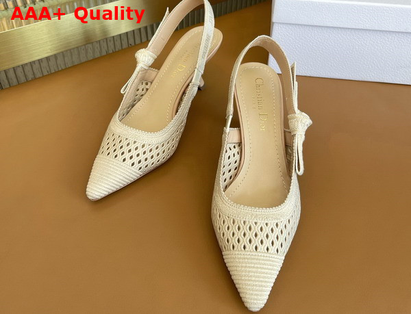 Dior Moi Slingback Pump Beige Mesh Cannage Embroidery Replica