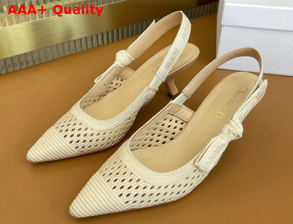 Dior Moi Slingback Pump Beige Mesh Cannage Embroidery Replica