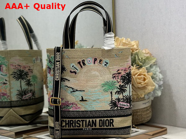 Dior New Small Canvas Tote Bag Replica