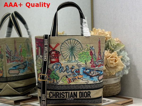 Dior New Small Canvas Tote Bag Replica