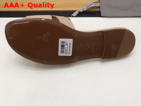 Dior Nude 30 Montaigne Slide Calfskin Mule Replica