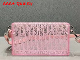 Dior Plexiglass Pouch Pink Acrylic with Dior Oblique Motif Replica