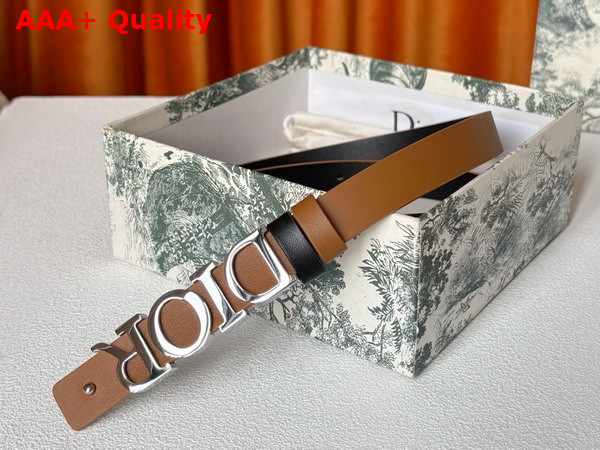 Dior Reversible D Dream Belt Black and Brown Smooth Calfskin 20mm Replica