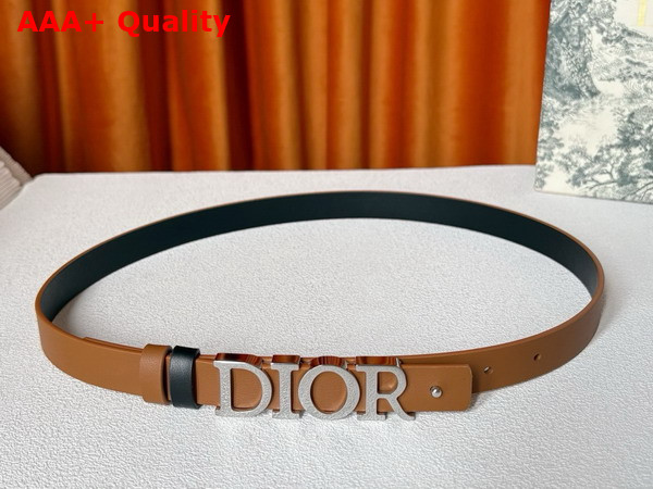 Dior Reversible D Dream Belt Black and Brown Smooth Calfskin 20mm Replica