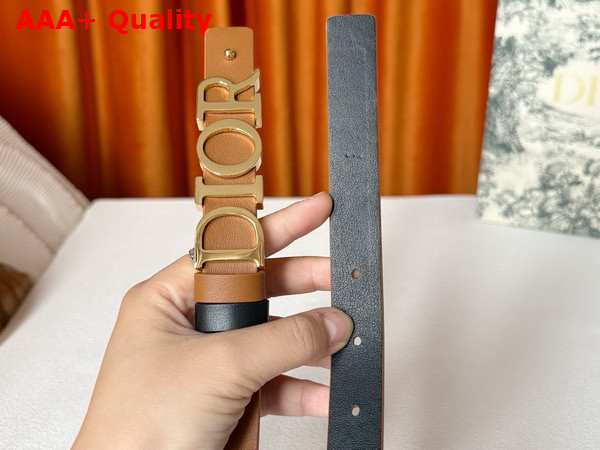 Dior Reversible D Dream Belt Black and Brown Smooth Calfskin 20mm Replica