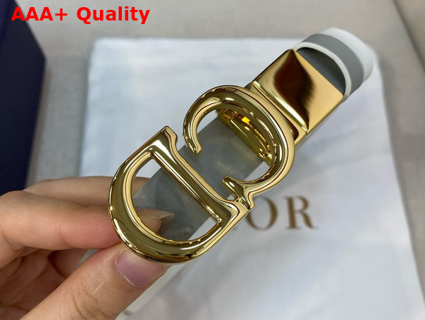 Dior Reversible Saddle Belt Grey and White Smooth Calfskin 20mm Replica