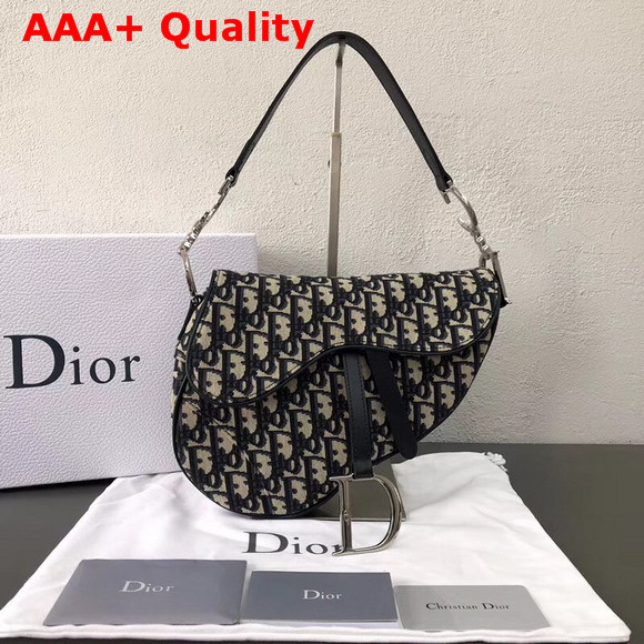 Dior Saddle Bag Dior Signature Canvas Replica
