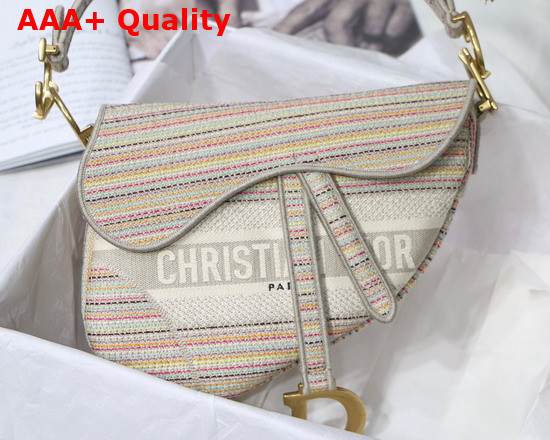 Dior Saddle Bag Multicolor Stripes Embroidery Replica