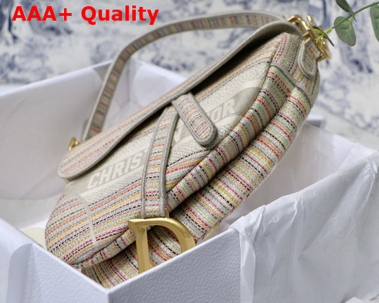 Dior Saddle Bag Multicolor Stripes Embroidery Replica