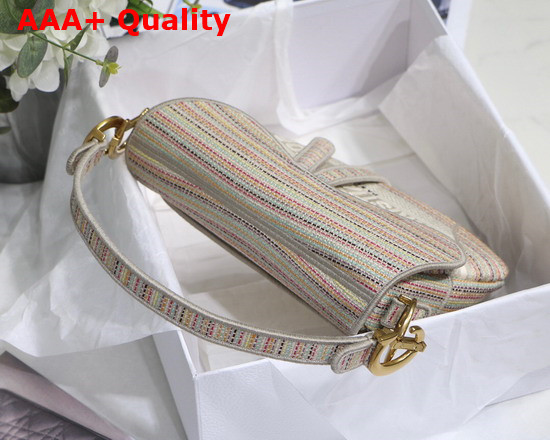 Dior Saddle Bag Multicolor Stripes Embroidery Replica