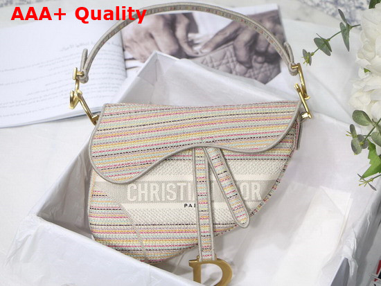 Dior Saddle Bag Multicolor Stripes Embroidery Replica