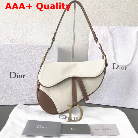 Dior Saddle Bag in Beige Canvas Replica