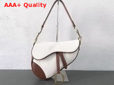 Dior Saddle Bag in Beige Canvas Replica