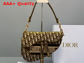 Dior Saddle Bag in Brown Dior Oblique Embroidered Velvet Replica
