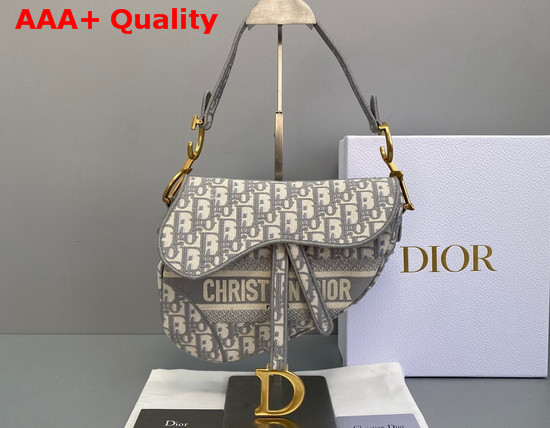 Dior Saddle Bag in Gray Dior Oblique Embroidered Canvas Replica