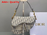 Dior Saddle Bag in Gray Dior Oblique Embroidered Canvas Replica
