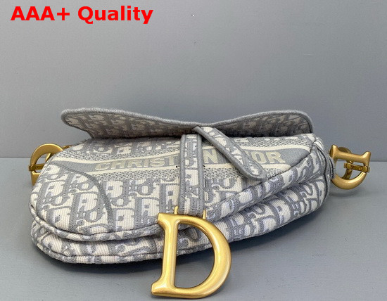 Dior Saddle Bag in Gray Dior Oblique Embroidered Canvas Replica