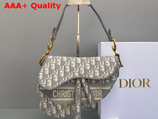 Dior Saddle Bag in Gray Dior Oblique Embroidered Canvas Replica