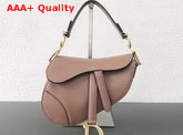 Dior Saddle Bag in Pink Calfskin Replica