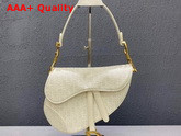 Dior Saddle Bag in White Dior Oblique Jacquard Canvas Replica