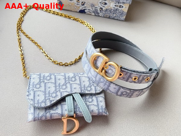 Dior Saddle Belt with Pouch Gray Dior Oblique Jacquard 20mm Replica