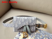 Dior Saddle Belt with Pouch Gray Dior Oblique Jacquard 20mm Replica