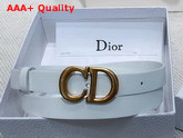 Dior Saddle Calfskin Belt in White Replica