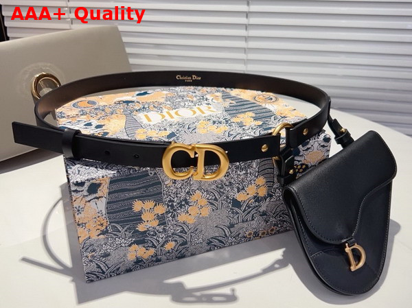 Dior Saddle Removable Pouch Belt Black Ultrasmooth Calfskin and Goatskin 20mm Replica