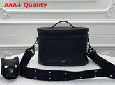 Dior Safari Vanity Bag in Black Calfskin Replica
