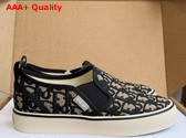 Dior Saltwind Slip On Sneaker in Beige and Blue Dior Oblique Jacquard Replica