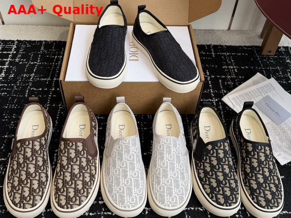 Dior Saltwind Slip On Sneaker in Beige and Blue Dior Oblique Jacquard Replica
