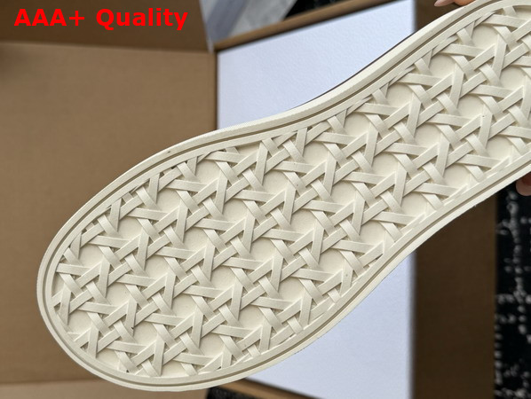Dior Saltwind Slip On Sneaker in Brown Dior Oblique Jacquard Replica