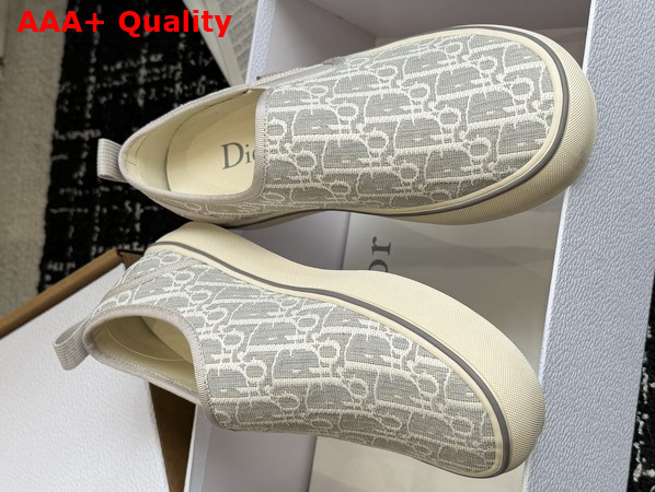 Dior Saltwind Slip On Sneaker in White and Gray Dior Oblique Jacquard Replica