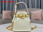 Dior Small Cest Dior Bag Latte CD Embossed Calfskin Replica