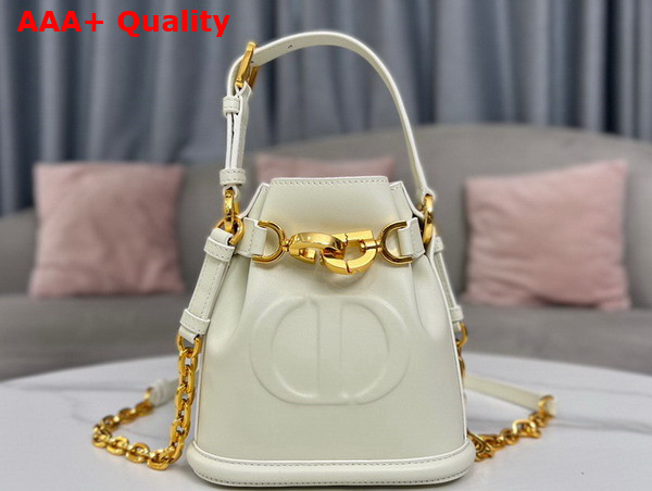 Dior Small Cest Dior Bag Latte CD Embossed Calfskin Replica