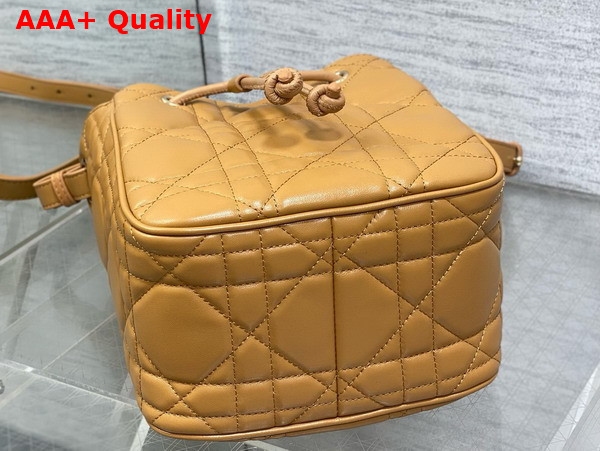 Dior Small D Motion Bag in Light Gold Tone Cannage Lambskin Replica