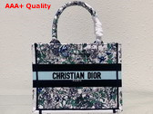 Dior Small Dior Book Tote White Multicolor Flowers Constellation Embroidery Replica