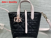 Dior Small Dior Toujours Vertical Tote Bag in Black and Pink Macrocannage Calfskin Replica