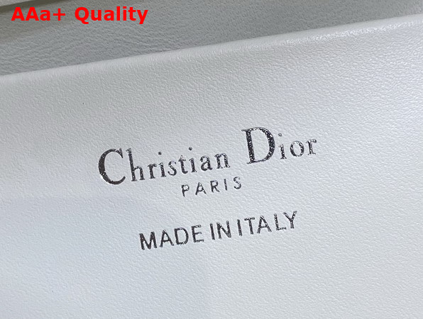 Dior Small Dior Toujours Vertical Tote Bag in Latte and Black Macrocannage Calfskin Replica