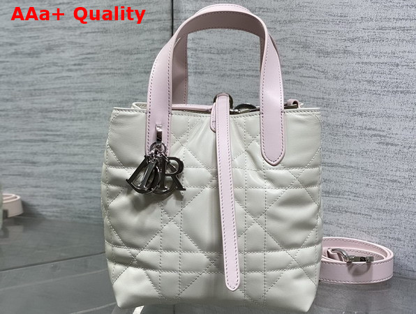 Dior Small Dior Toujours Vertical Tote Bag in Latte and Rose Macrocannage Calfskin Replica