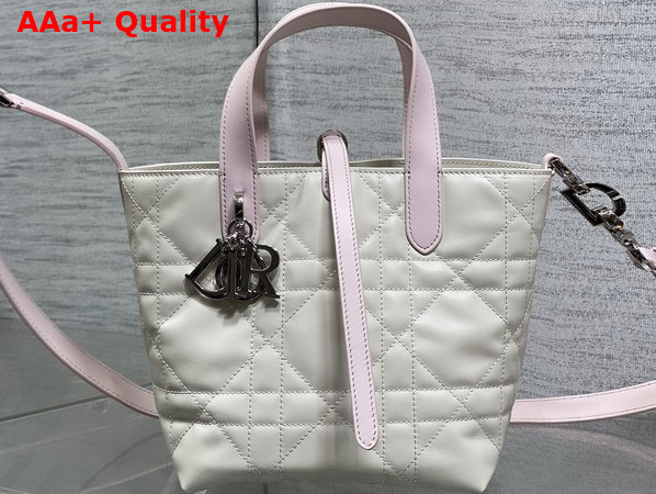 Dior Small Dior Toujours Vertical Tote Bag in Latte and Rose Macrocannage Calfskin Replica