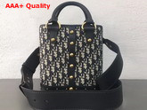 Dior Small Dioravenue Bucket Bag in Dior Oblique Canvas Replica