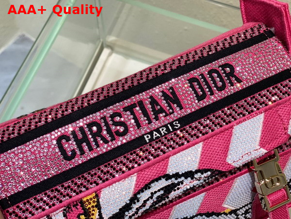 Dior Small Diorcamp Bag Pink Multicolor Toile de Jouy Zoom Technical Canvas with Strass Replica
