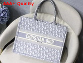 Dior Small Gray Dior Book Tote with Dior Oblique Embroidery Replica