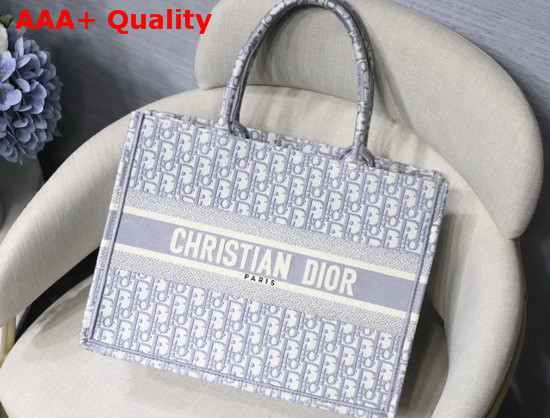 Dior Small Gray Dior Book Tote with Dior Oblique Embroidery Replica