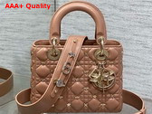 Dior Small Lady Dior My ABCDior Bag in Rose Des Vents Cannage Lambskin with Gold Finish Dragonfly Studs Replica