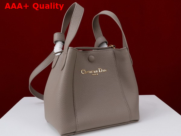 Dior Small Signature Bucket Bag in Gray Grained Calfskin Replica