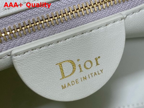 Dior Small Toujours Hobo Bag in Pale Green Cannage Lambskin Replica